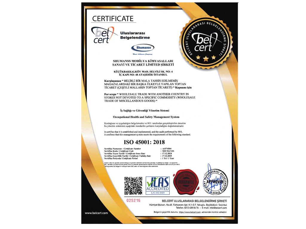 İŞ SAĞLIĞI VE GÜVENLİĞİ YÖNETİM BELGESİ